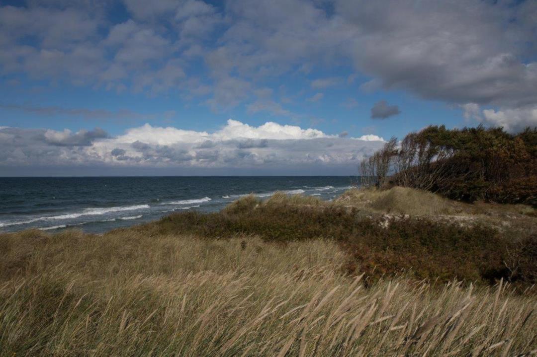 Studio 11 Im Haus Stranddistel, Modernes Studio Im 1 Og Fur 2 Personen In Цингст Екстериор снимка